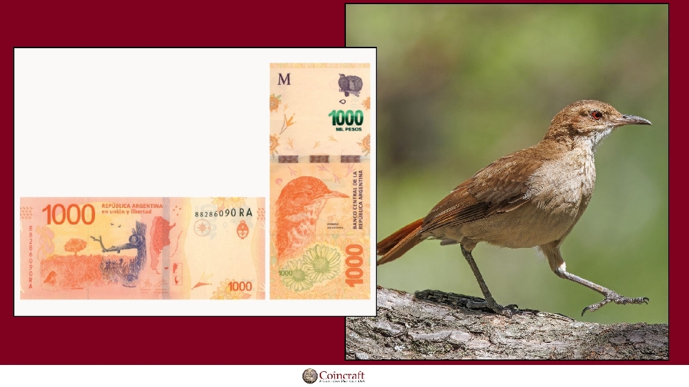 Argentinean Pesos featuring Rofous Hornro, Argentina’s national bird - Coincraft